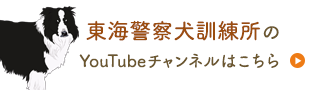 東海警察犬訓練所のyoutubeチャンネルはこちら